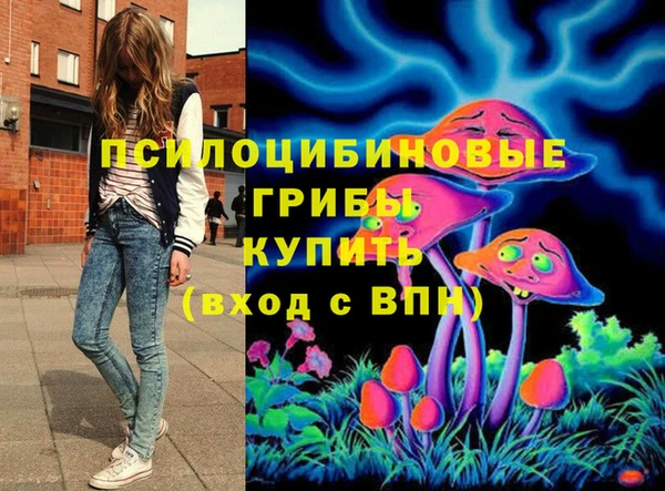 тгк Алзамай