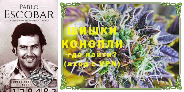 экстази Алексин