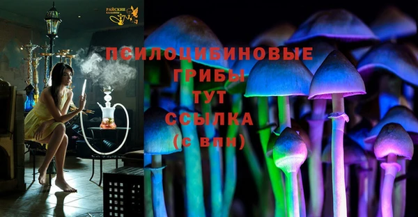 экстази Алексин