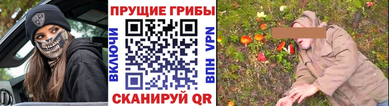Псилоцибиновые грибы MAGIC MUSHROOMS Дорогобуж